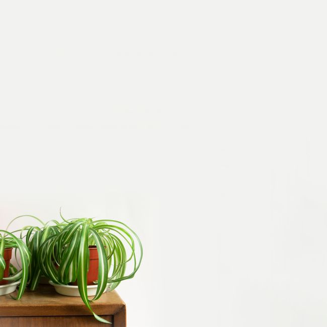 Air Purifier with HEPA Filter